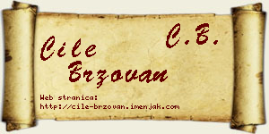 Ćile Brzovan vizit kartica